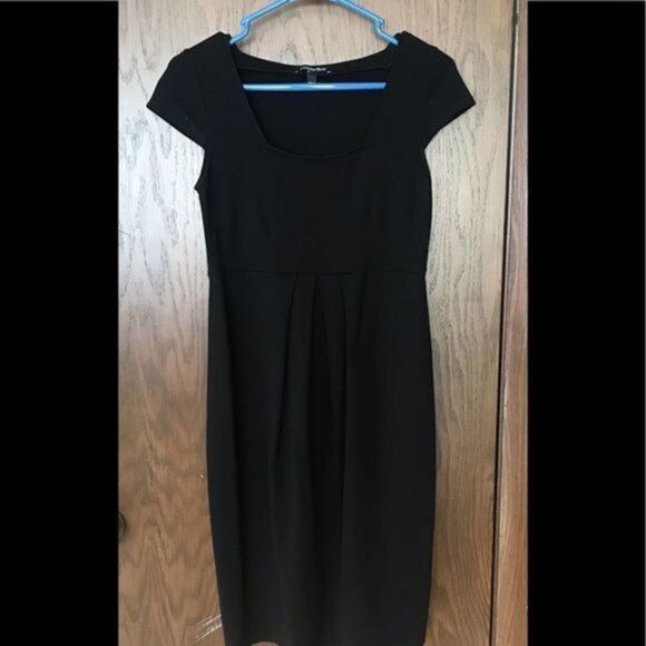 Isabella Oliver Farah Maternity Shift Dress - Picture 4 of 9